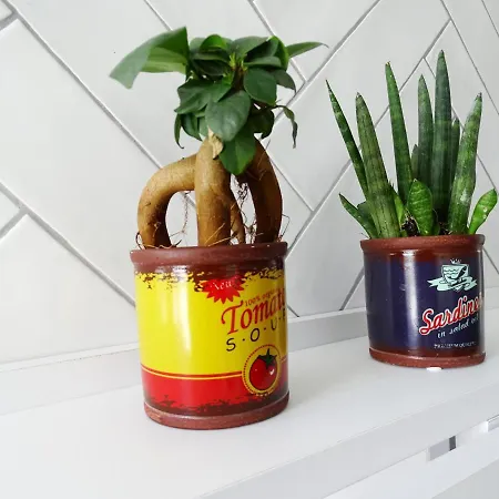 El ático De Mosaicos Appartamento Cadice