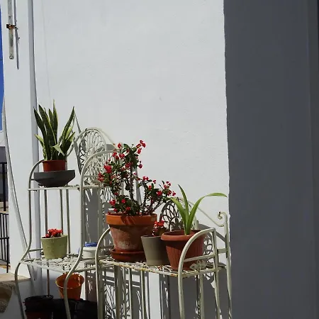 El ático De Mosaicos * Cadice